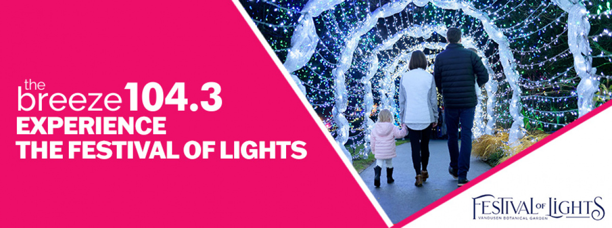 Experience the Festival of Lights