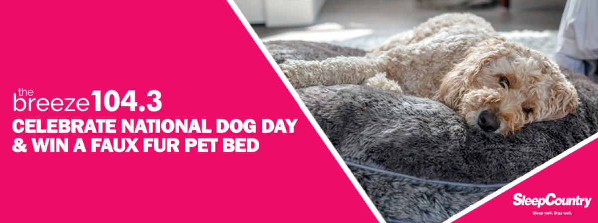Win a Faux Fur Pet Bed from Sleep Country!