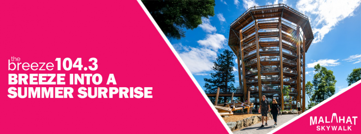 Breeze into a Summer Surprise with Malahat Skywalk